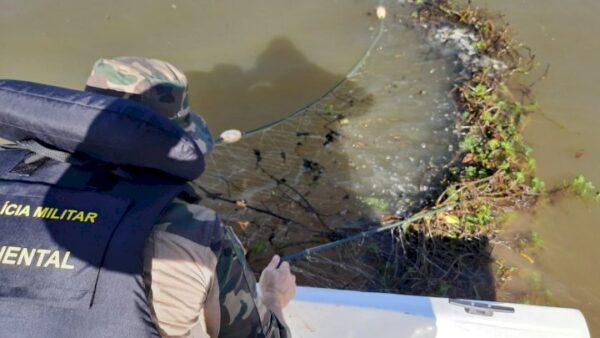 PMA realiza fiscalização de pesca e resgata tartaruga presa em rede